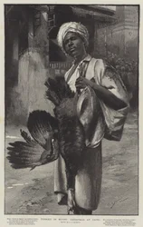 Türkei in Ägypten, Weihnachten in Kairo